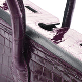 HERMES エルメス バーキン 25 アメジスト パラジウム金具 □R刻印(2014年頃) レディース ニロティカス ハンドバッグ ABランク 中古 銀蔵