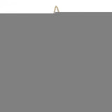 LOUIS VUITTON ルイヴィトン ダミエ エヴァ 2WAY ブラウン N55213 レディース ダミエキャンバス ショルダーバッグ ABランク 中古 銀蔵