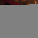 LOUIS VUITTON ルイヴィトン モノグラム プティパレ PM 2WAY ブラウン レディース モノグラムキャンバス ハンドバッグ Aランク 中古 銀蔵