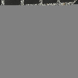 CHANEL シャネル エッセンシャル ラージトート ブラック A46882 レディース カーフ ハンドバッグ Bランク 中古 銀蔵