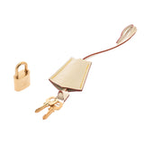 LOUIS VUITTON ルイヴィトン スハリ ロックイット MM ブロン M91874 ユニセックス レザー ハンドバッグ ABランク 中古 銀蔵