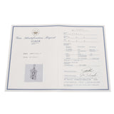 no brand ノーブランド 10K ダイヤ - ユニセックス K10ホワイトゴールド WG ペンダントトップ Aランク 中古 銀蔵