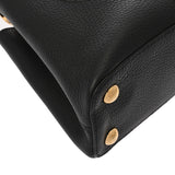 LOUIS VUITTON ルイヴィトン カプシーヌBB タイガー ノワール M54340 レディース トリヨンレザー ハンドバッグ Aランク 中古 銀蔵