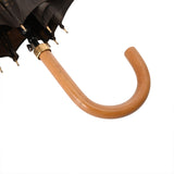 LOUIS VUITTON ルイヴィトン モノグラム パラプルュイジブレ 傘 ブラウン M70107 ユニセックス ポリエステル 100% ブランド小物 ABランク 中古 銀蔵