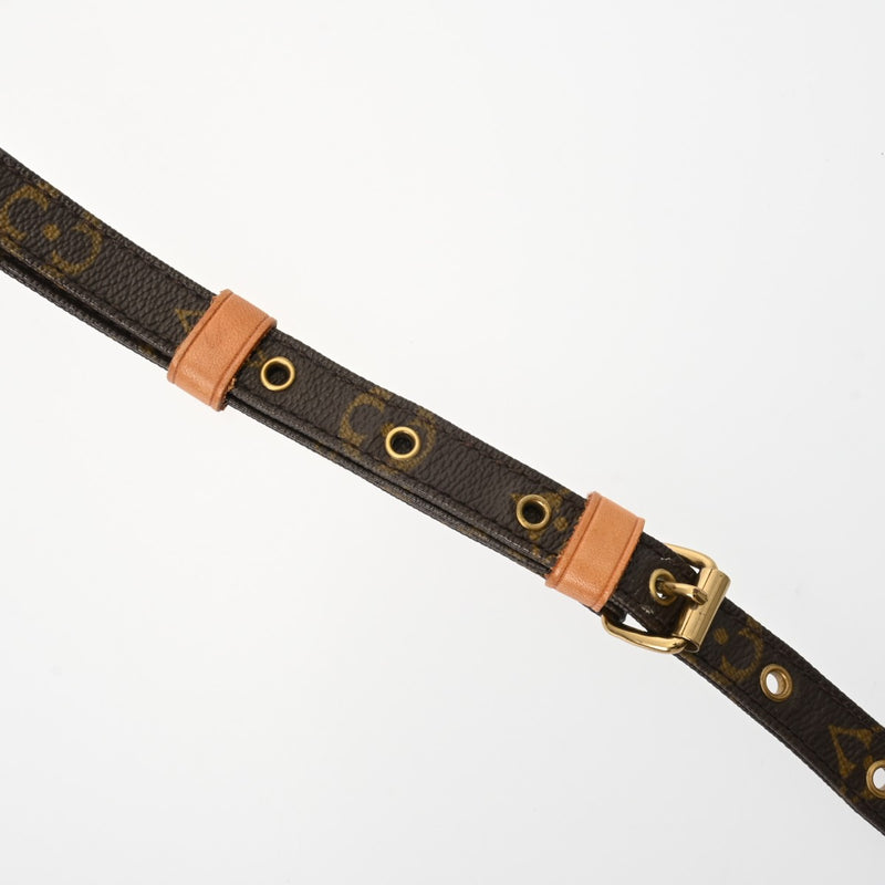 LOUIS VUITTON ルイヴィトン モノグラム アマゾン ブラウン M45236 レディース モノグラムキャンバス ショルダーバッグ Bランク 中古 銀蔵