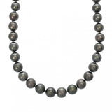 TASAKI タサキ パールネックレス レディース K14ホワイトゴールド WG ネックレス Aランク 中古 銀蔵