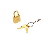 HERMES エルメス ピコタン ロック PM ヴェールシプレス Z刻印(2021年頃) レディース トリヨンクレマンス ハンドバッグ Aランク 中古 銀蔵