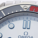 OMEGA オメガ シーマスター300 コーアクシャル 2960/7007限定 212.32.41.20.04.001 メンズ SS 腕時計 自動巻き 白文字盤 Aランク 中古 銀蔵