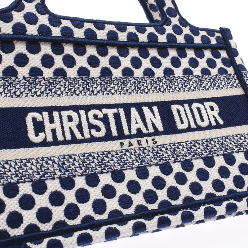 Dior blue best sale and white bag