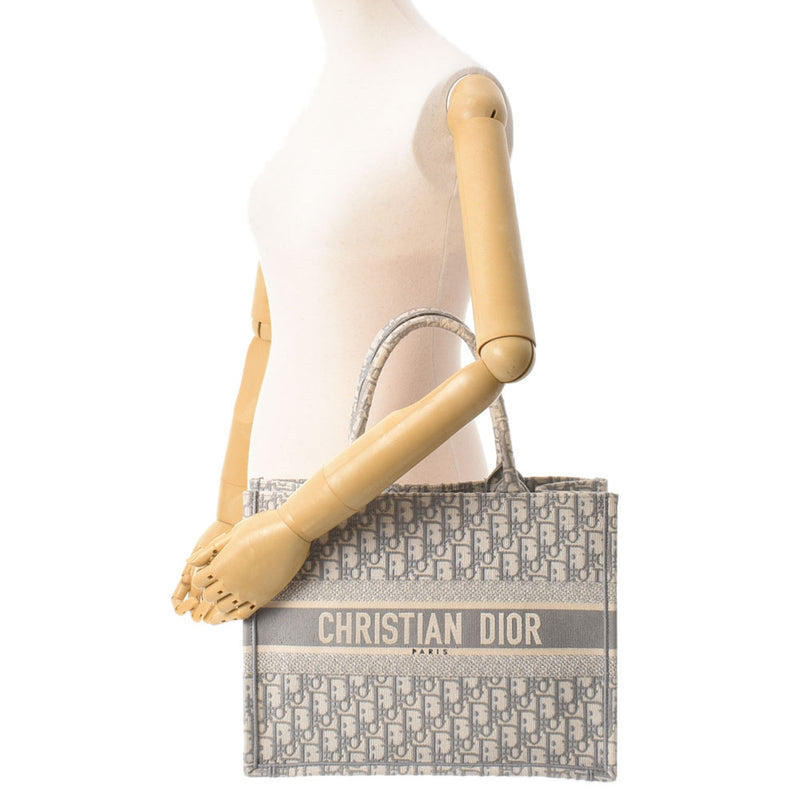 克里斯蒂安·迪奥（Christian dior Christian Dior）书袋迷你恩布罗伊·戴里·戴里（Dary Dary Dary Dary）白色/灰色女士帆布手袋二手Ginzo