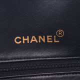 Chanel Chanel Sports Line Black Unisex Ramskin Boston Bag B Rank Used Silgrin