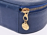 CHANEL Chanel, Jewelry Case, Blue Gold, Blue Gold, Unsex Cavyaskin, Accessory Porch, Class A, Class A, Silver Win