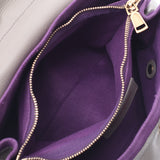 Saint Laurent Sun Laurent Muse Tu 2way Bag Gray / Purple 283761 Women's Leather / Canvas Handbags AB Rank Used Sinkjo