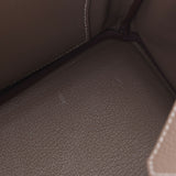 Hermes Hermes Burkin 25 Ethpop Palladium Bracket Z Engraved (around 2021) Women's Togo Handbag New Silgrin