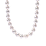 [Sinko Summer Selection] Other South Sea Pearl Necklace White Ladies SV Necklace New Singbox